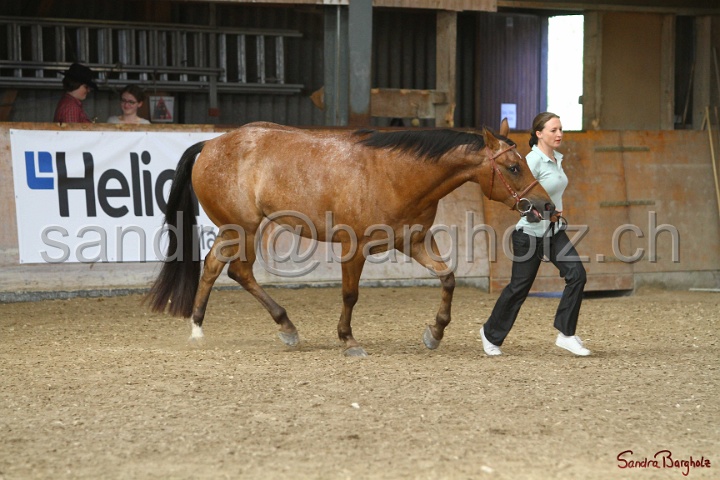 24-ApHC HIH_119.jpg